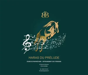 creation-de-site-web-site-vitrine-et-ecommerce-12